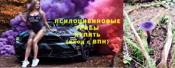 скорость Белокуриха