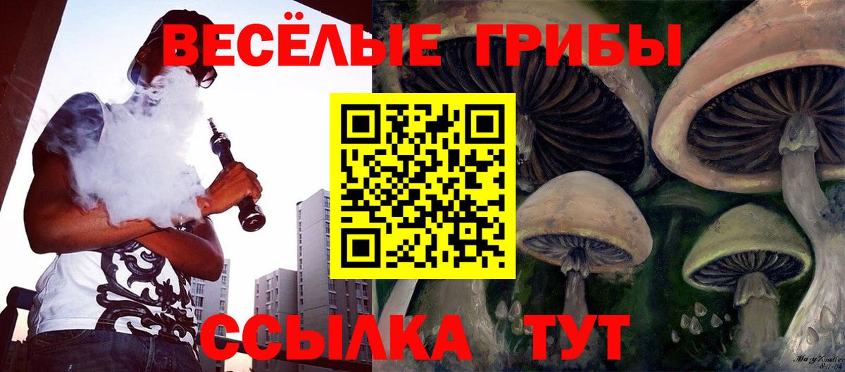 Галлюциногенные грибы мицелий Видное