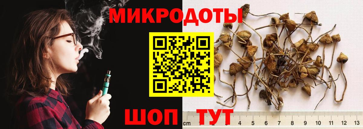 Галлюциногенные грибы прущие грибы  Видное 