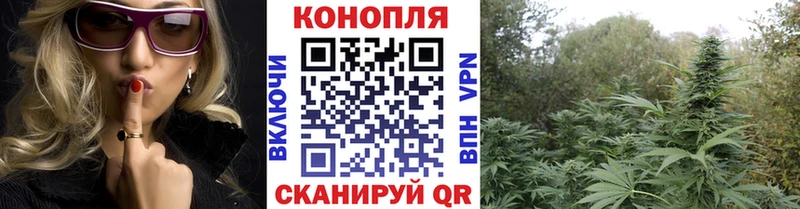 дарк нет наркотические препараты Видное Бошки марихуана ГИДРОПОН где купить наркотик